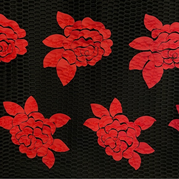 Mystic Floral Rose Appliqué Mesh Bodycon Dress - Picture 11 of 14